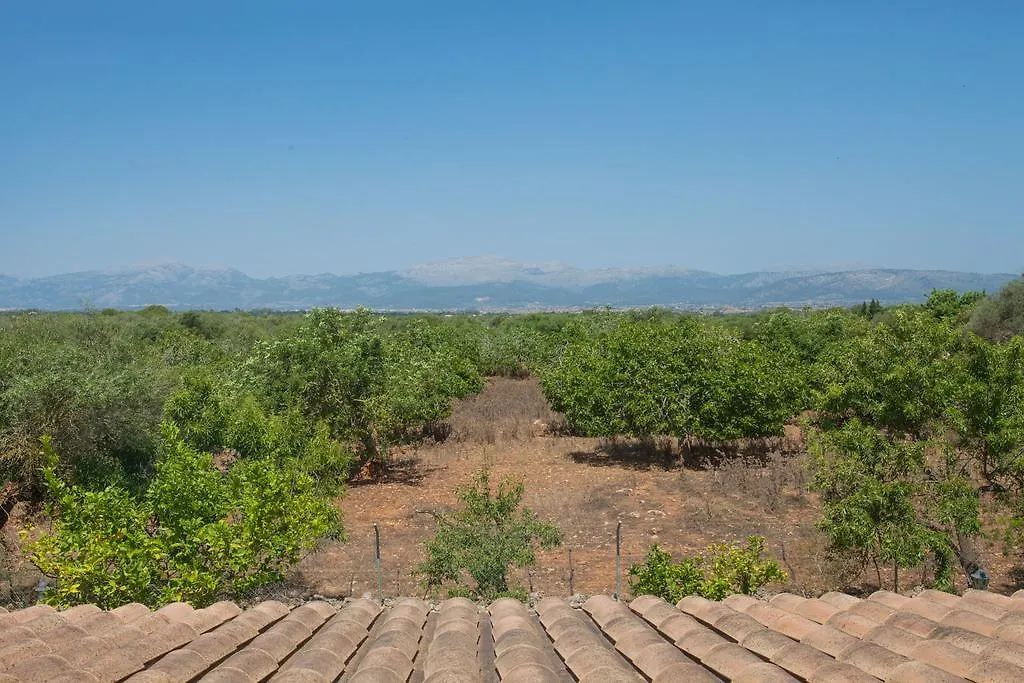 Son Auba Villa Muro